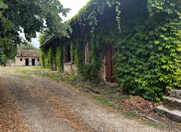 Propriété sur 2 hectares